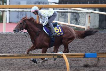 【天皇賞・秋】ダノンデサイル G1.3勝目へ 安田師合格点「随分良くなりました」