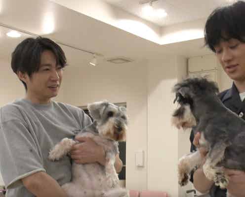 SUPER EIGHT横山裕、“親友”嵐・相葉雅紀とトリミング 息ぴったりの掛け合い見せる