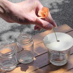 空き瓶が上品な花器に変身 おしゃれなインテリアを作る注目のアイテム モデルプレス 空き瓶が上品な花器に変身 おしゃれなインテリアを作る注目のアイテム モデルプレス