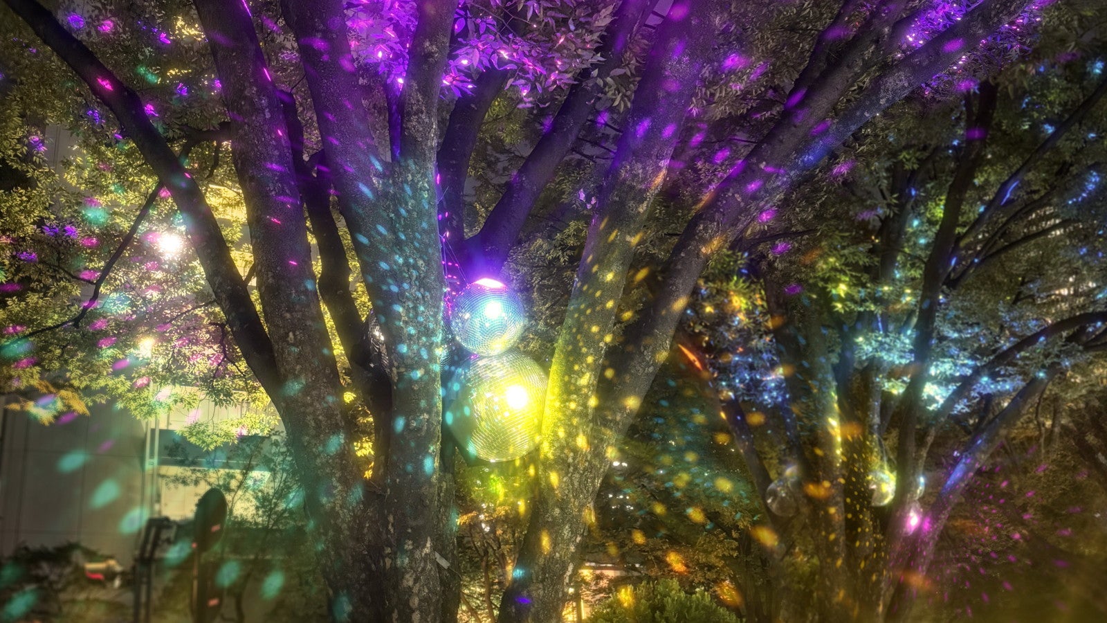 Shinjuku Neon Walk／提供画像