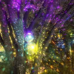 Shinjuku Neon Walk/提供画像