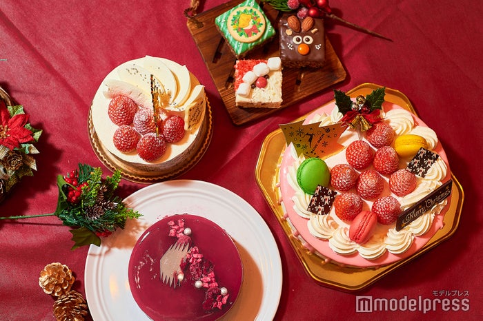 (左)星降る夜のクリスマス 4号/旬風 一期一会、(下)ベリーエタンセル 12cm/パティスリー キハチ/ベイカーズカスタード、(右)ボヌール・ドゥ・ノエル 6号/銀座ブールミッシュ、(上)Happy Wreath、もこもこサンタ、とことこトナカイ/pon pon×Chris.P(C)モデルプレス