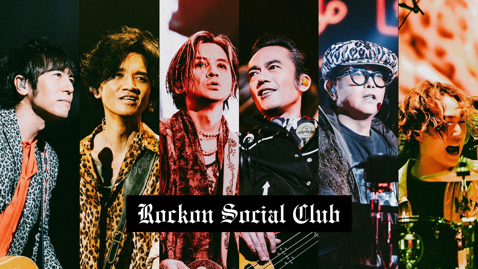 Rockon Social Club 『Rockon Social Club Tour 2025 FOREVER CALLING -Still Rockin’-』（提供写真）