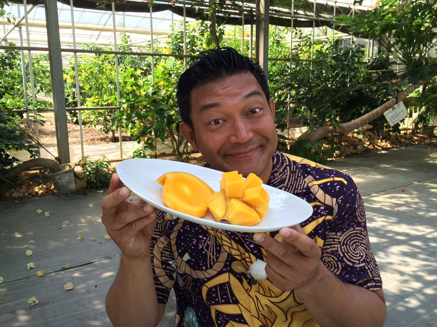 山口智充（画像提供：関西テレビ）