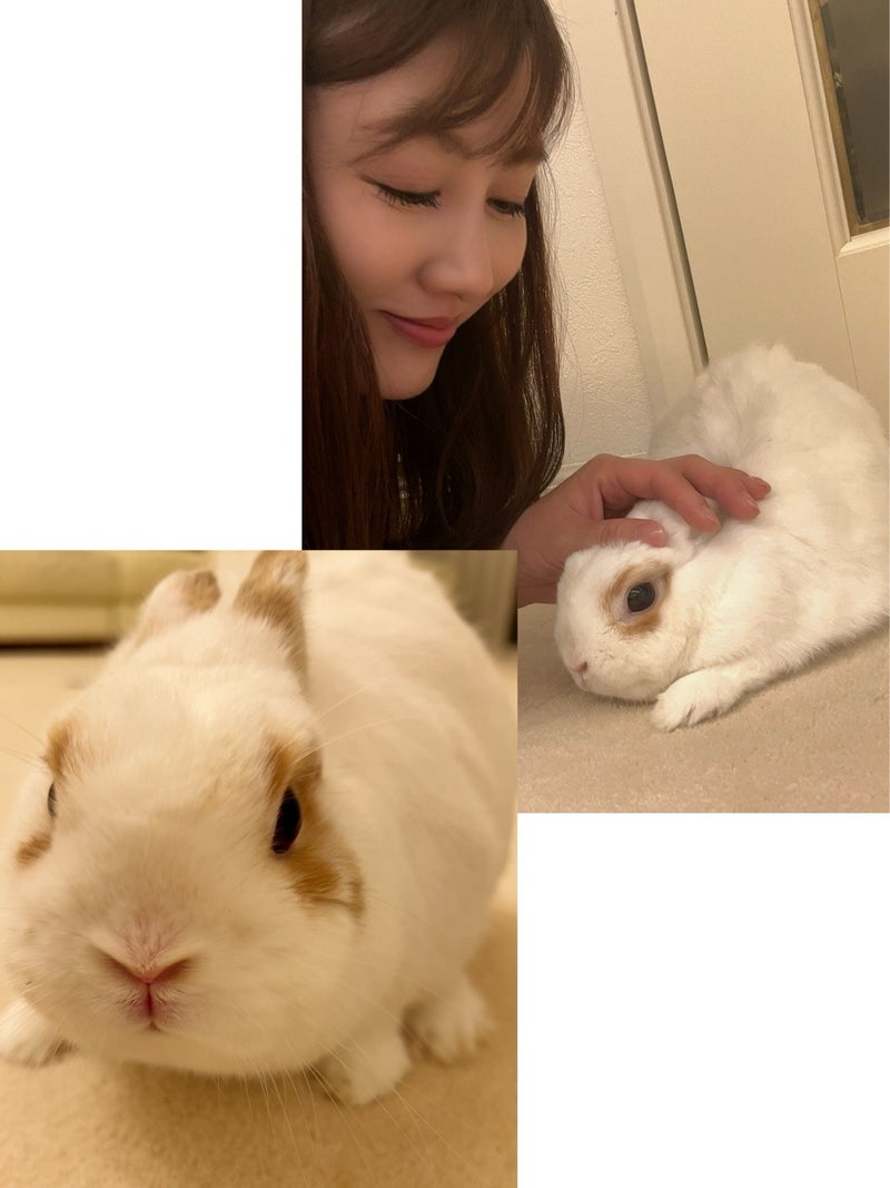 安めぐみオフィシャルブログより