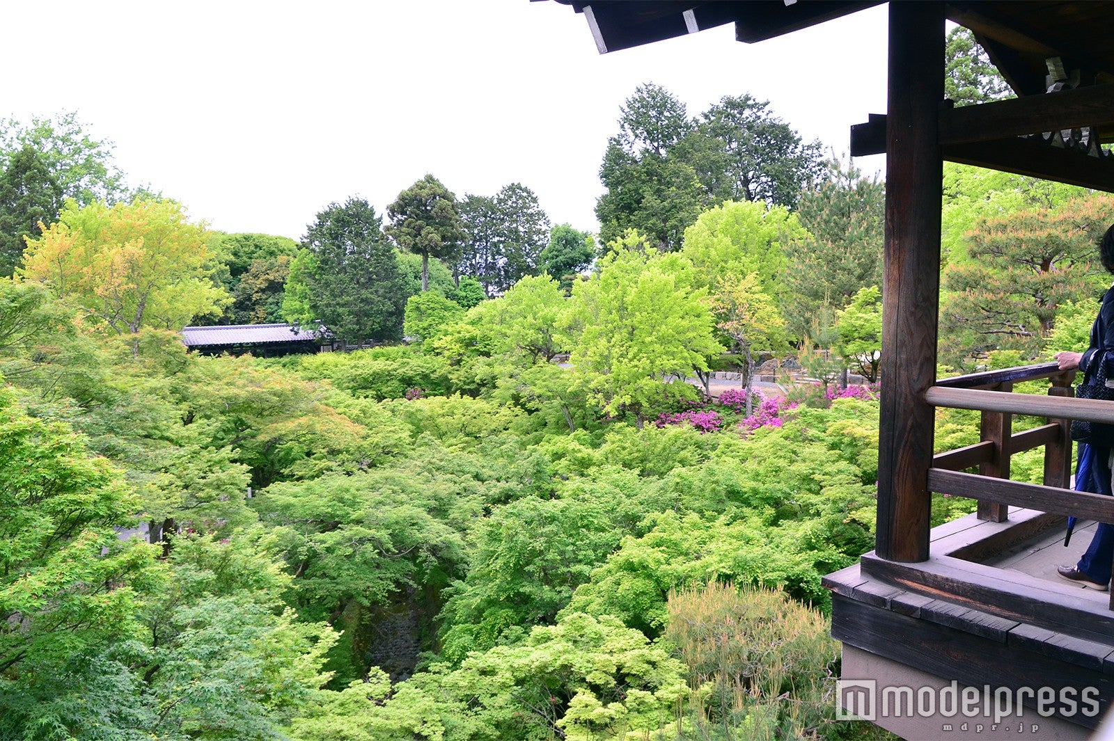 通天橋からの風景（C）モデルプレス