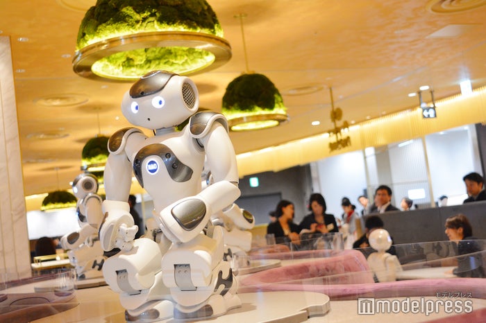 東急プラザ渋谷（C）ビューティーガール