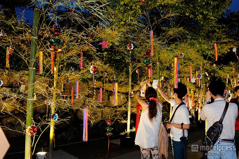 堀川会場／出逢いの広場／写真提供：京の七夕実行委員会