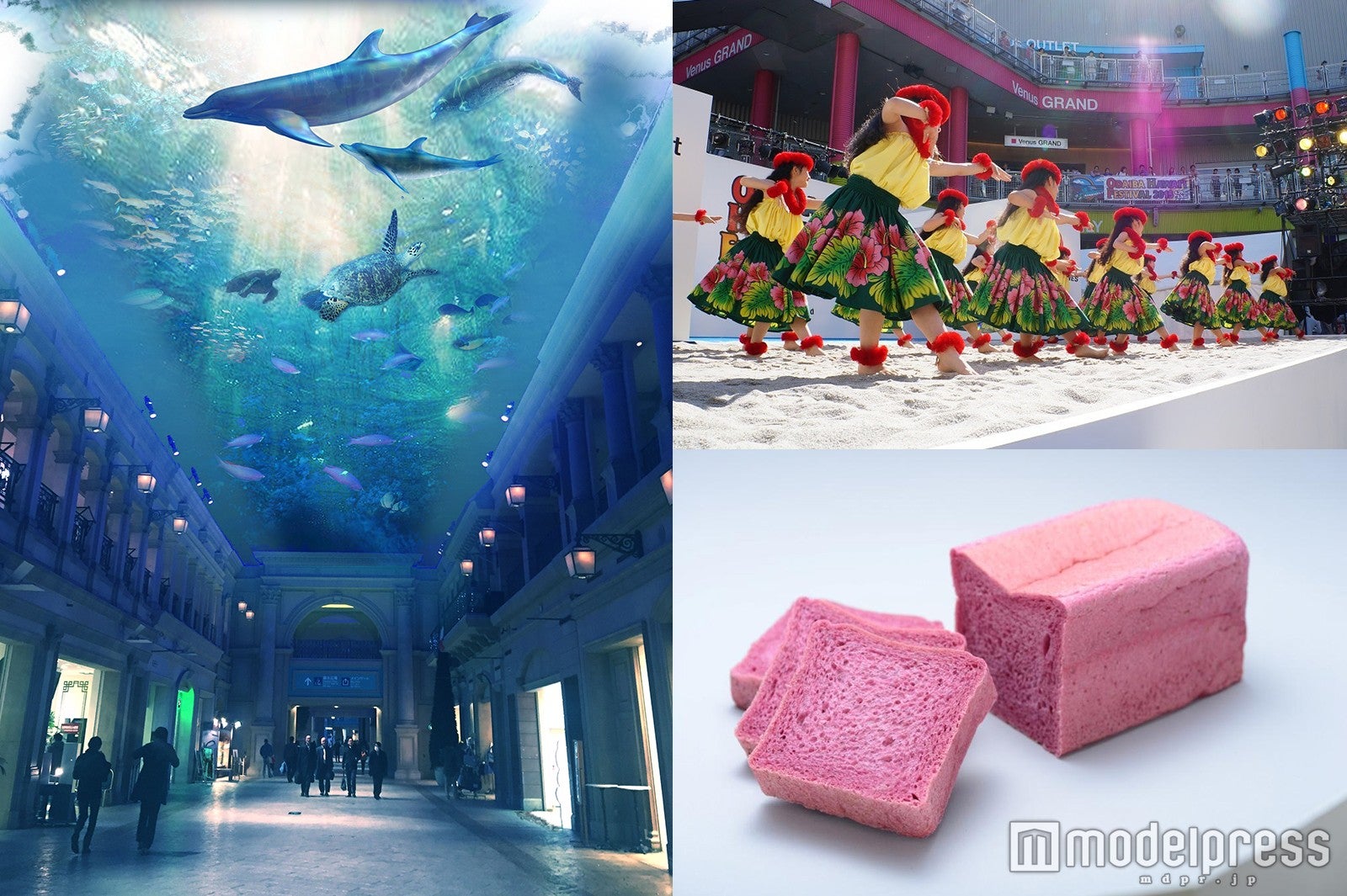 GWはお台場で“ハワイフェス”　ロコグルメ＆マーケットで東京にいながらハワイ気分／画像提供：森ビル