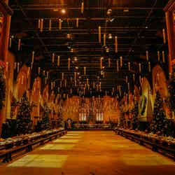 「ハリー・ポッター」魔法界のクリスマスを体感!スタジオツアー東京「ホグワーツ・イン・ザ・スノー」開幕