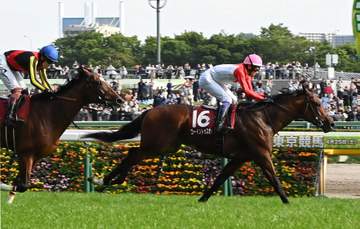 【青葉賞】ゴーイントゥスカイ ダービー出走権獲得！コントレイル産駒重賞初V 上原祐師4頭出し有力「うれしいです」