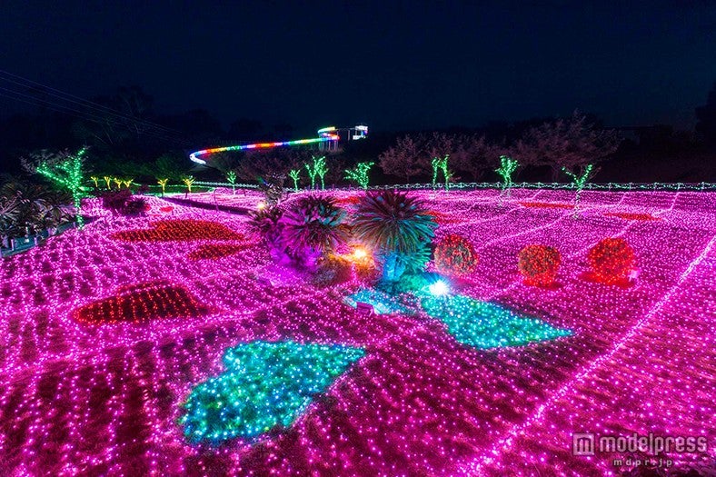 夜景鑑賞士も注目、LED200万球超の新たなイルミ空間が誕生／画像提供：伊豆シャボテン公園【モデルプレス】