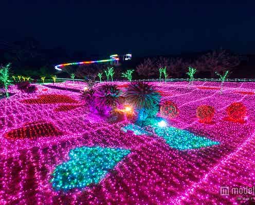 夜景のプロも注目、LED200万球超の新たなイルミ空間が誕生