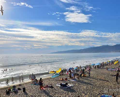 LA市民御用達!最高にリラックス出来る癒やしスポット5選