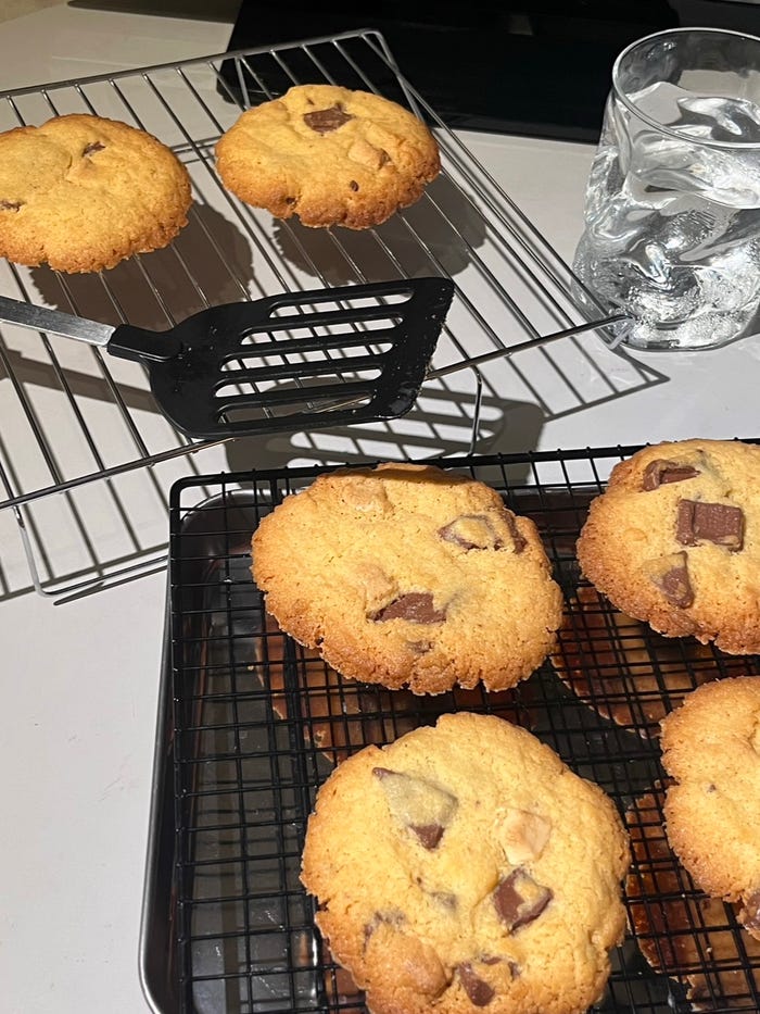 料理写真(提供画像)