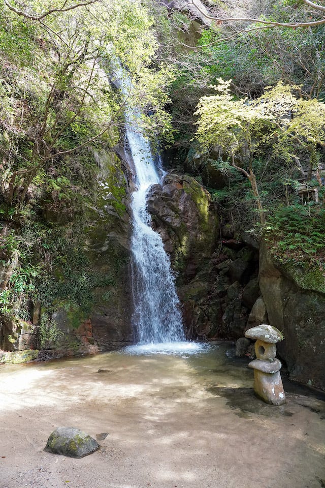 地元ライターおすすめ！大自然の中で紅葉が見られるスポット【和歌山県田辺市】