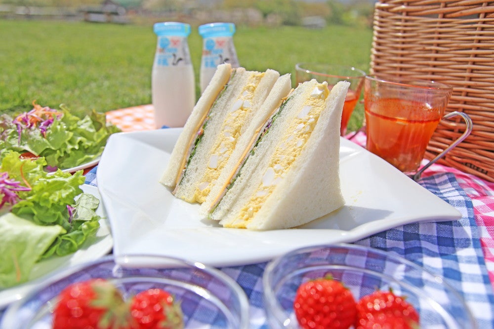 マザー牧場 グランピング THE FARM （提供画像）