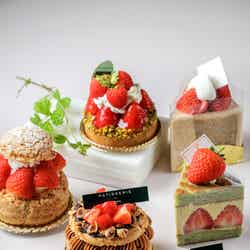 ストロベリー デザートブッフェ/提供素材