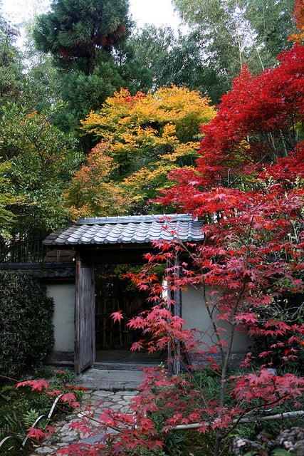 厭離庵 by cyesuta