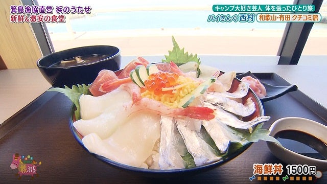 地元の人がおすすめ！海も山もみかんも楽しめる♡