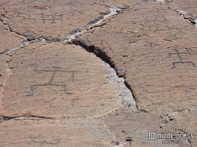 プアコ・ペトログリフ遺跡保護地区のペトログリフ／photo by lhilyer_libr