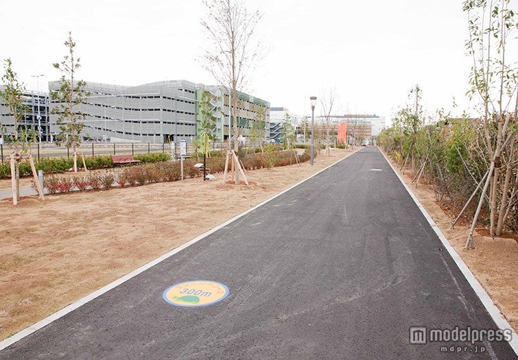 ランニングコース