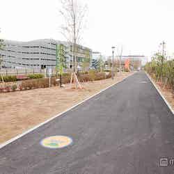 ランニングコース