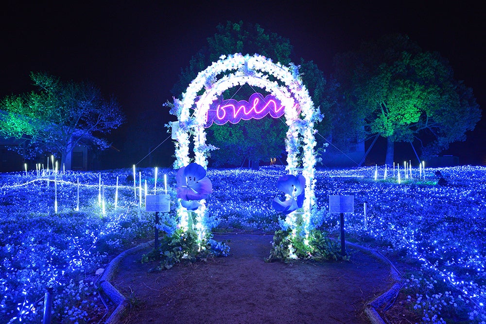 花と光のムーブメント／提供画像