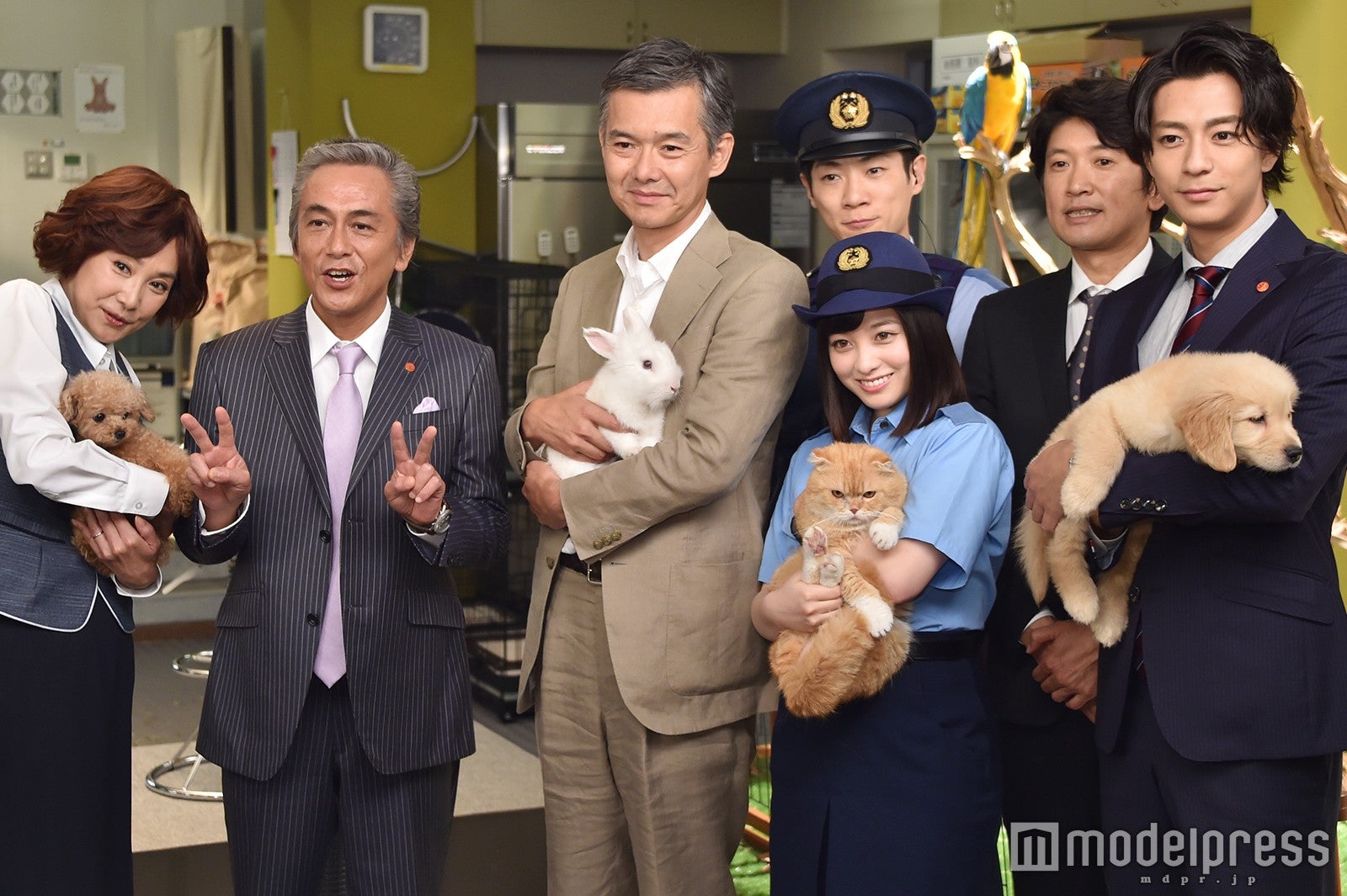 「警視庁いきもの係」に出演する（左から）浅野温子、寺島進、渡部篤郎、橋本環奈、横山だいすけ、長谷川朝晴、三浦翔平 （C）モデルプレス