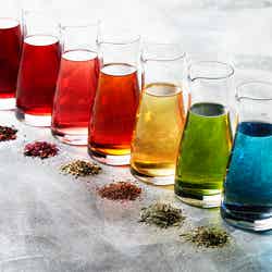 7色のハーブティー/画像提供:ANAインターコンチネンタルホテル東京