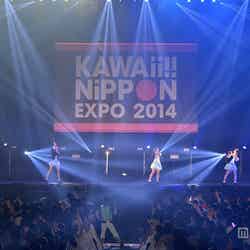 「KAWAii！！ NiPPON EXPO 2014」 開幕