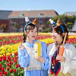 画像はイメージ(C)Mercis bv