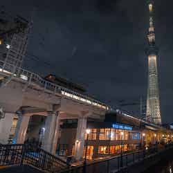 WISE OWL HOSTELS RIVER TOKYO/画像提供:ワイズアウル