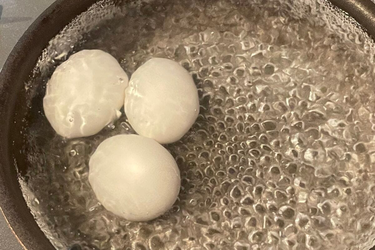 殻付き塩味ゆで卵