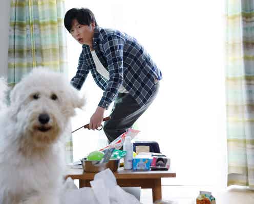田中圭が必死&びしょ濡れ…心温まる本編映像解禁<ハウ>