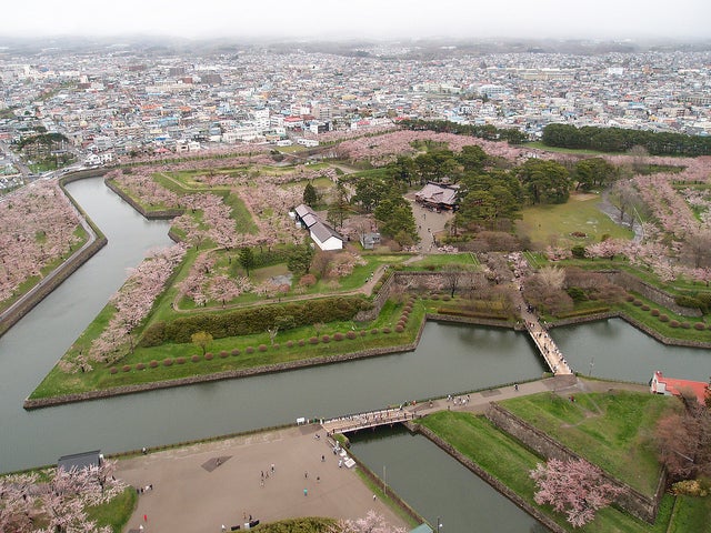 「五稜郭」の城郭を覆う桜／Photo by ys*