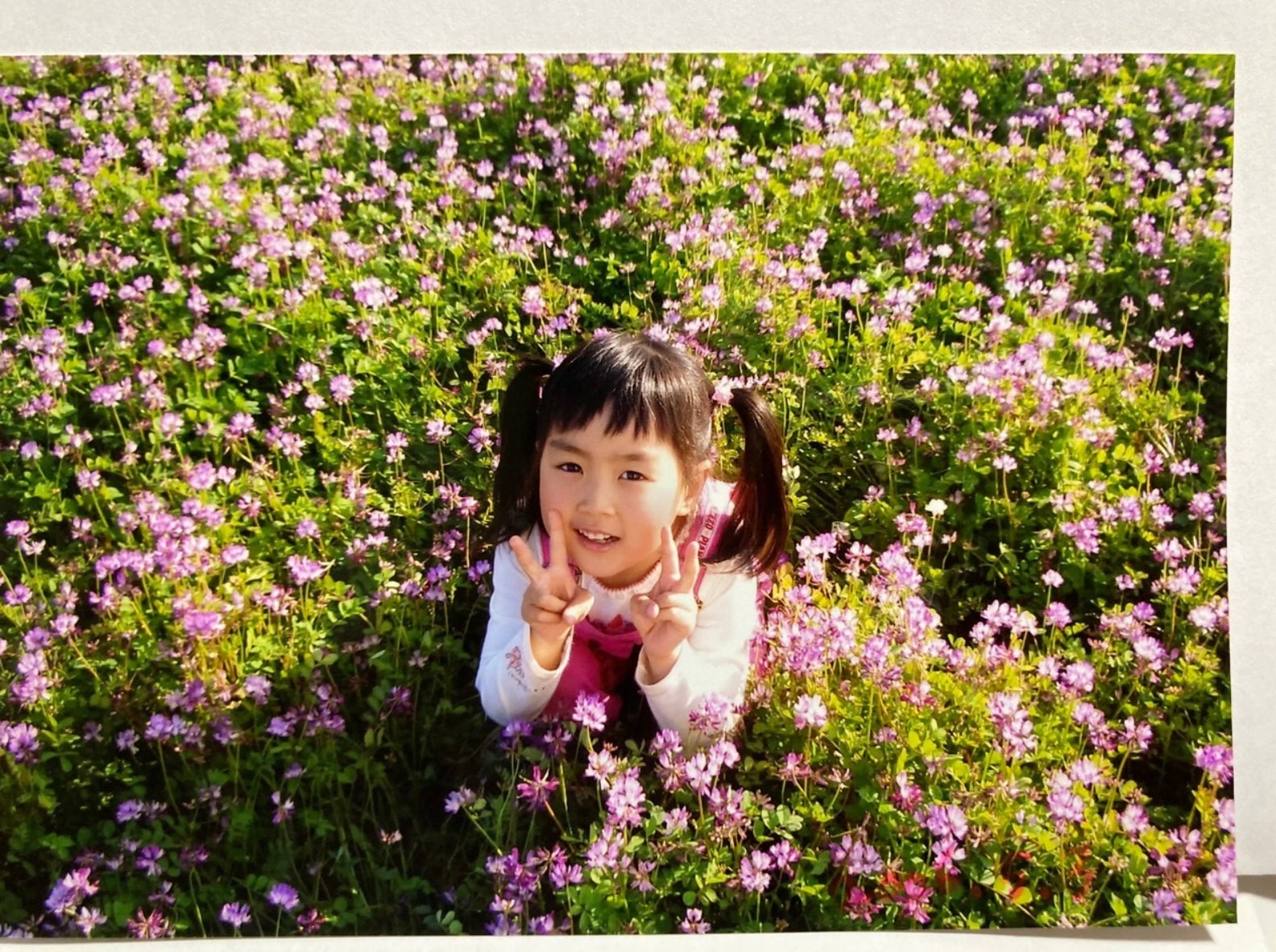 賀喜遥香オフィシャルブログより