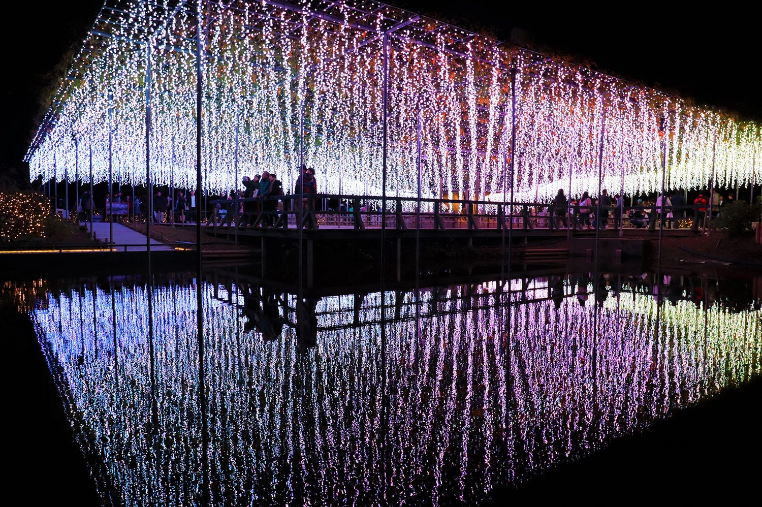 あしかがフラワーパークで500万球イルミ「Flower Fantasy~光の花の庭2019~」新作も公開