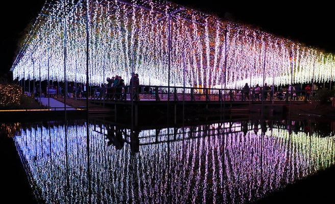 あしかがフラワーパークで500万球イルミ Flower Fantasy 光の花の庭19 新作も公開 女子旅プレス