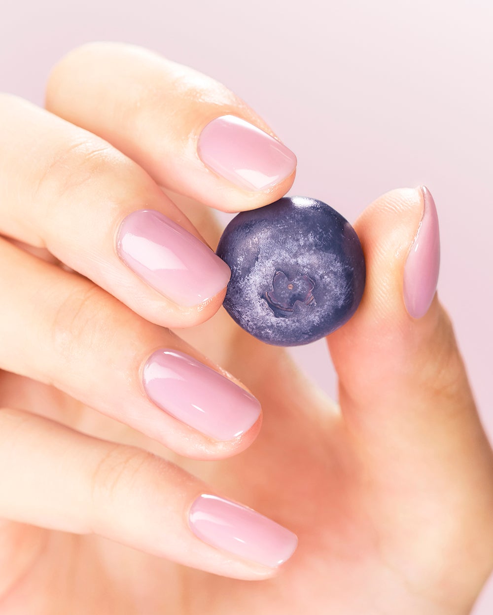 仕上がりイメージ／提供画像