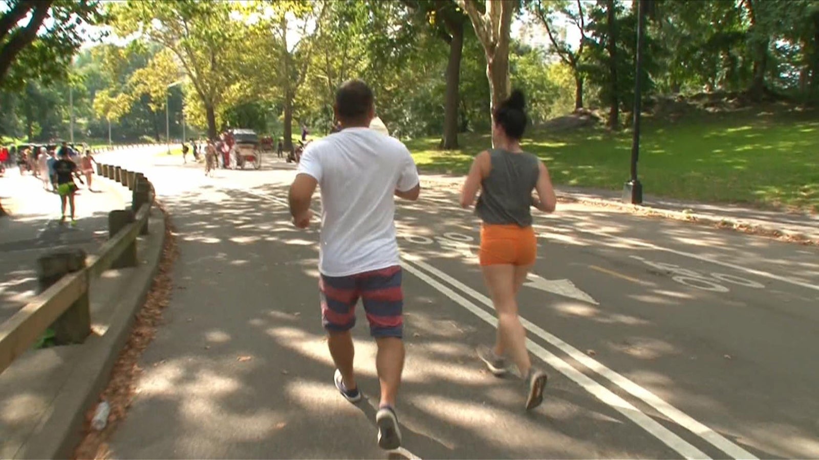 セントラルパーク（写真提供：毎日放送）