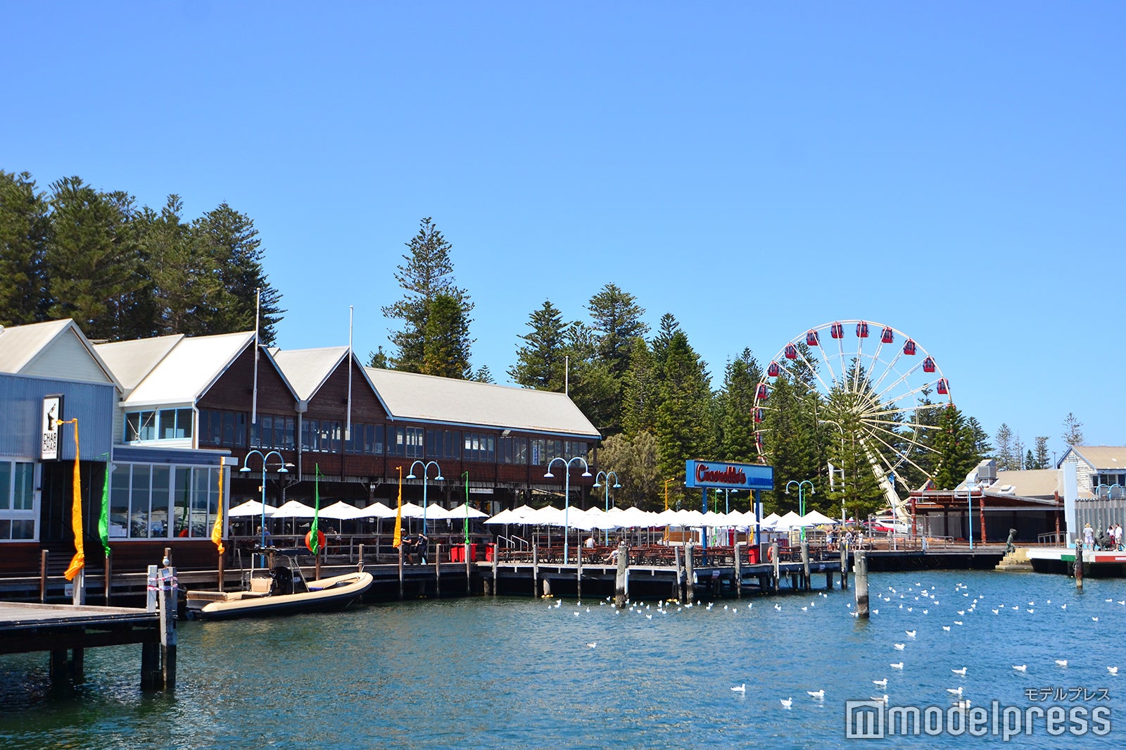 フリーマントル（C）モデルプレス