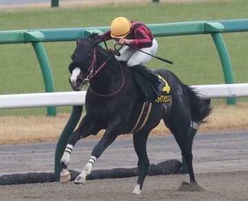 アメリカンステージはジャニュアリーSへ 師走S快勝のブライアンセンスはプロキオンSへ