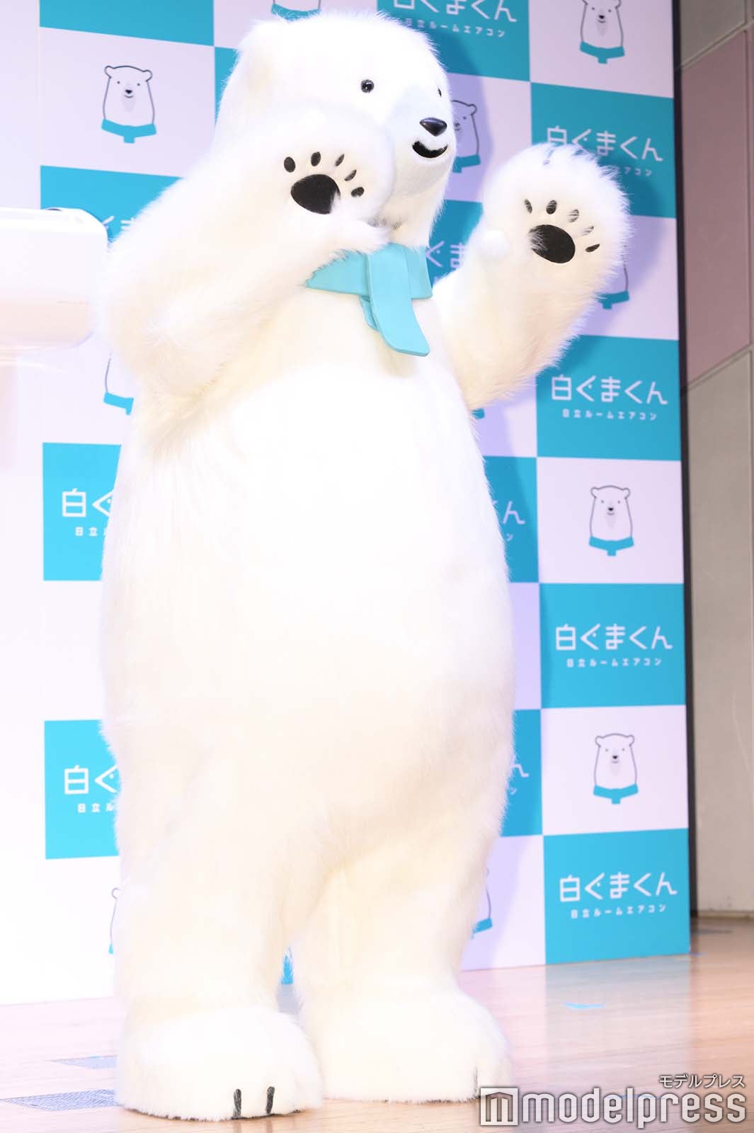 白くまくん（C）モデルプレス