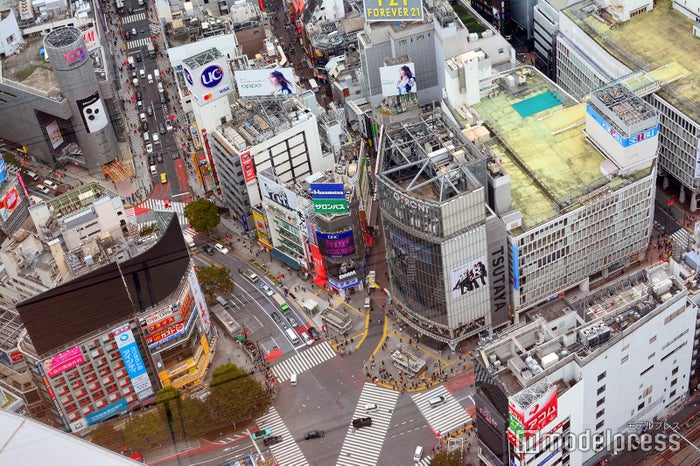 渋谷スカイで初のカウントダウン 初日の出営業 地上229mで年を迎える 女子旅プレス