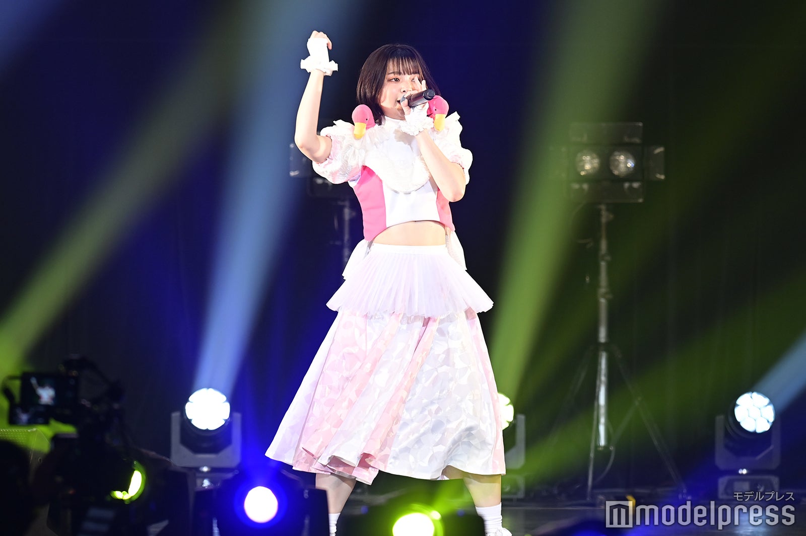 豆柴の大群（C）モデルプレス