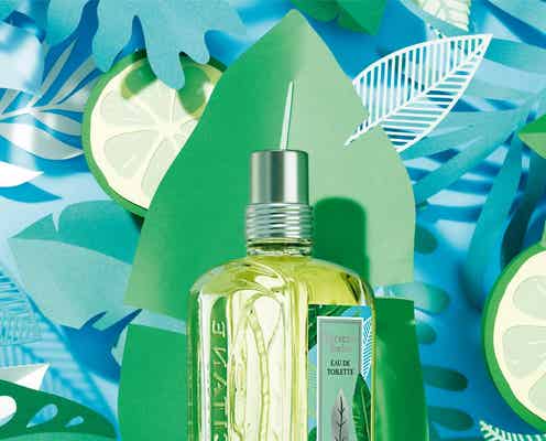 ロクシタンから人気の「ミントヴァーベナ」シリーズ限定発売|初夏にぴったり涼やかな香り