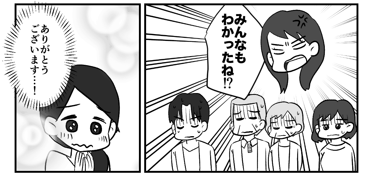 6_3_3