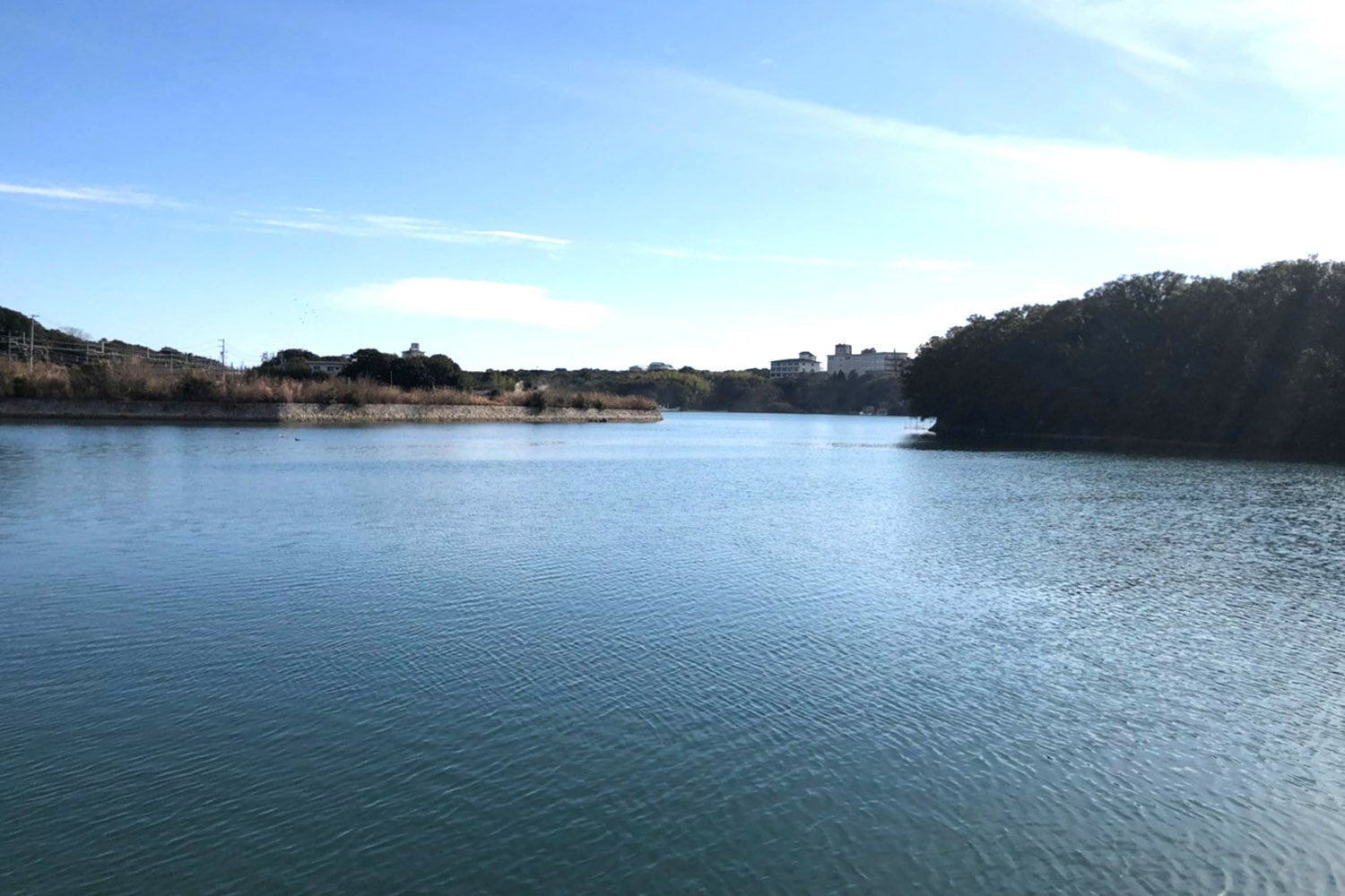 GLAMP DOG伊勢賢島／画像提供：ブッキングリゾート