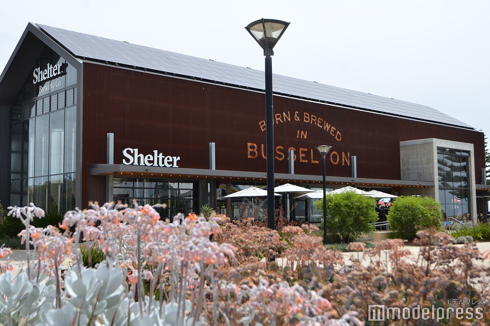 シェルター・ブリューイング（C）モデルプレス